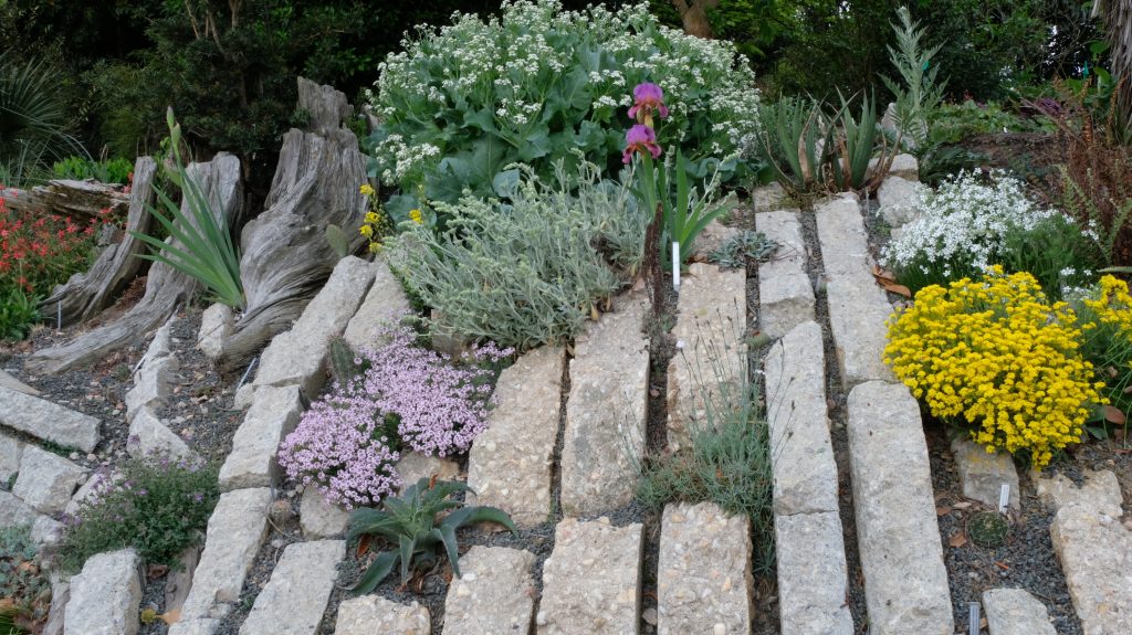 Crevice Garden - Juniper Level Botanic Garden