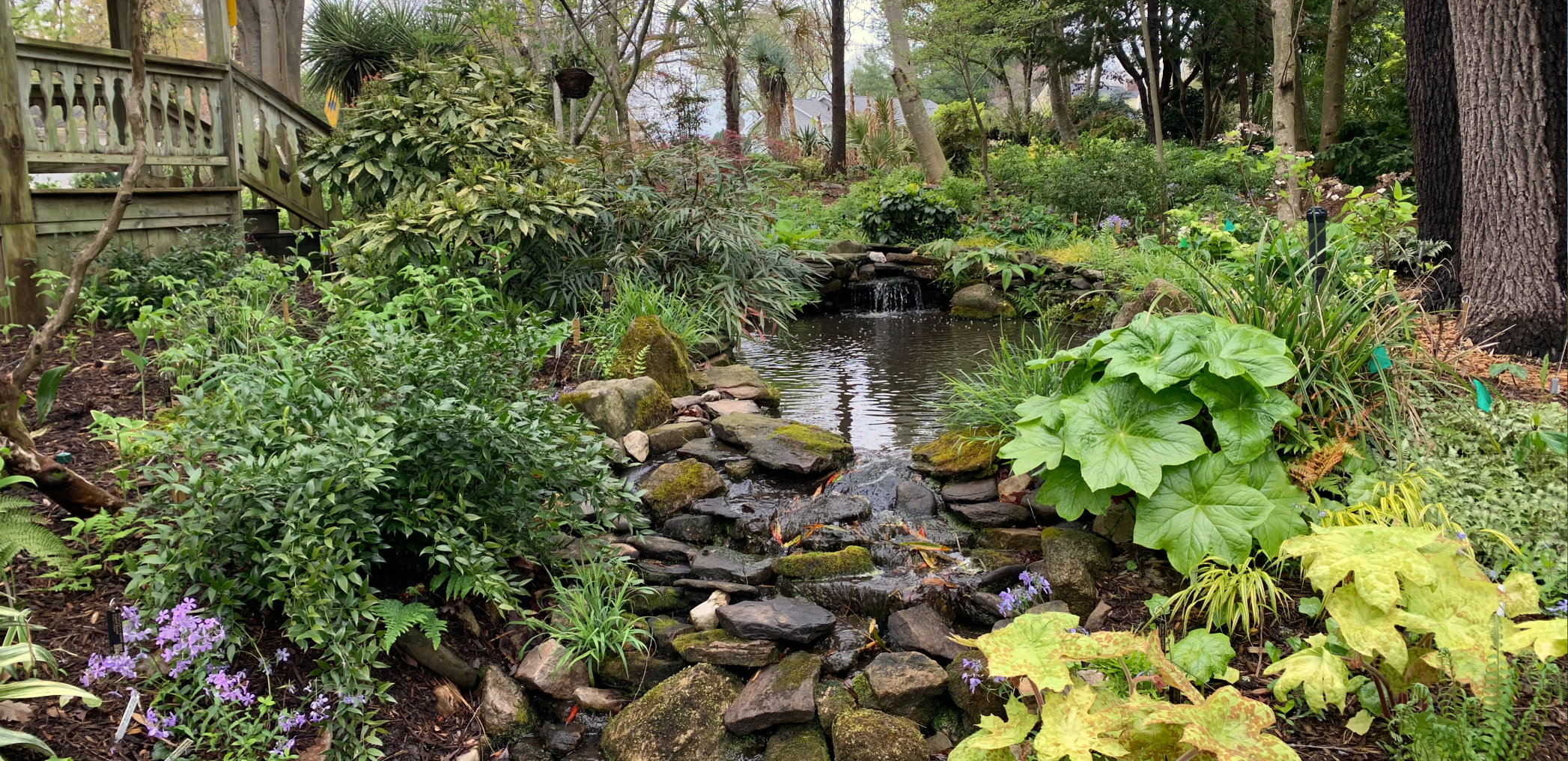 April Garden Tour - Juniper Level Botanic Garden