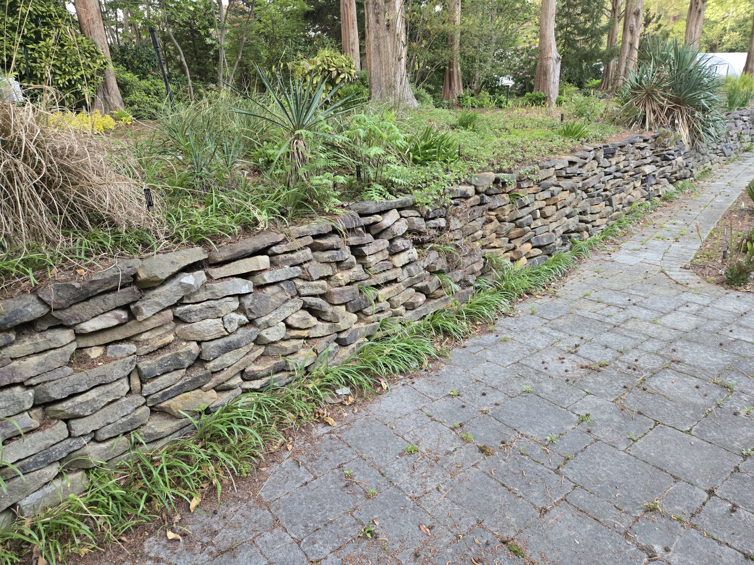 Sunken Garden rock wall